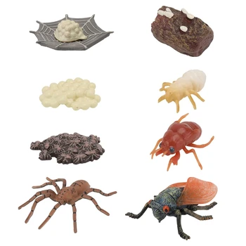 8 Vnt. Imituojamas Plastikiniai Su Gyvūnais Vabzdžių Augimo Ciklo Voras Cikada Augimo Mokslo Pažinimo Švietimo Žaislai